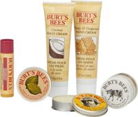 burts-bees-tips-and-toes-kit